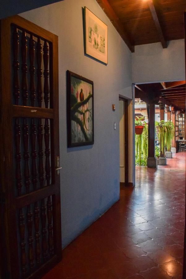 Dionisio Inn Antigua Extérieur photo